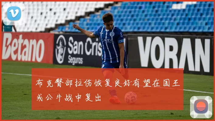 布克臀部拉伤恢复良好有望在国王或公牛战中复出